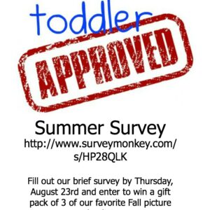 Toddler Approved Summer Survey Giveaway Winner!